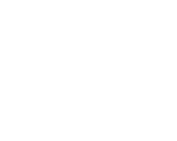 logo1 1